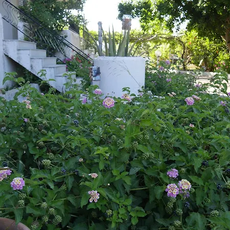 Helios Rhodos 2 * Koskinou (Rhodes)